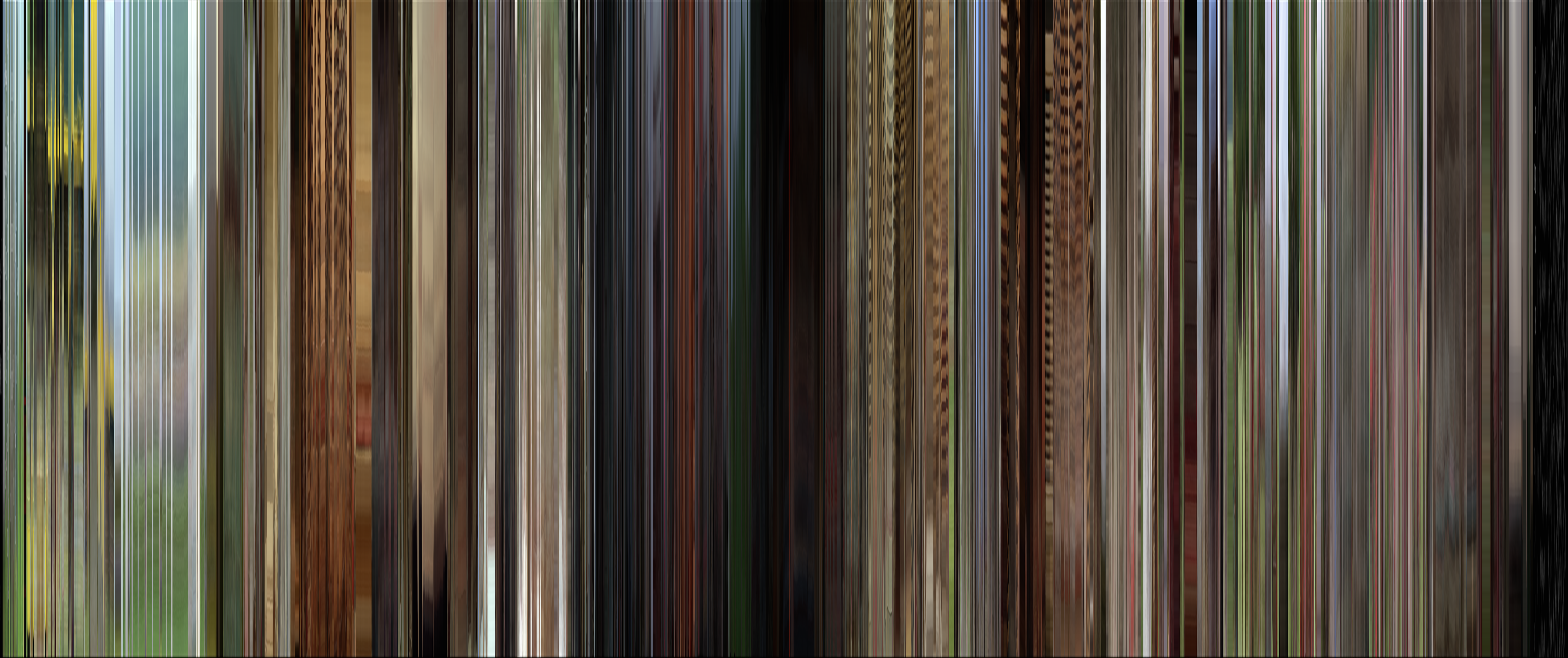 Color barcode for Ran (1985)